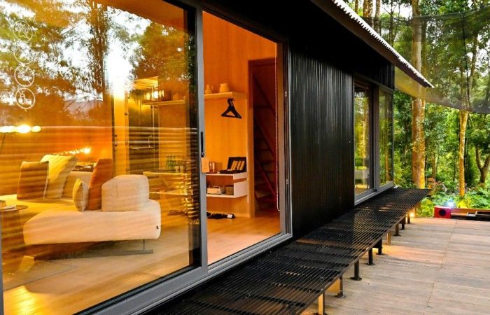 Forest House Interior Design1